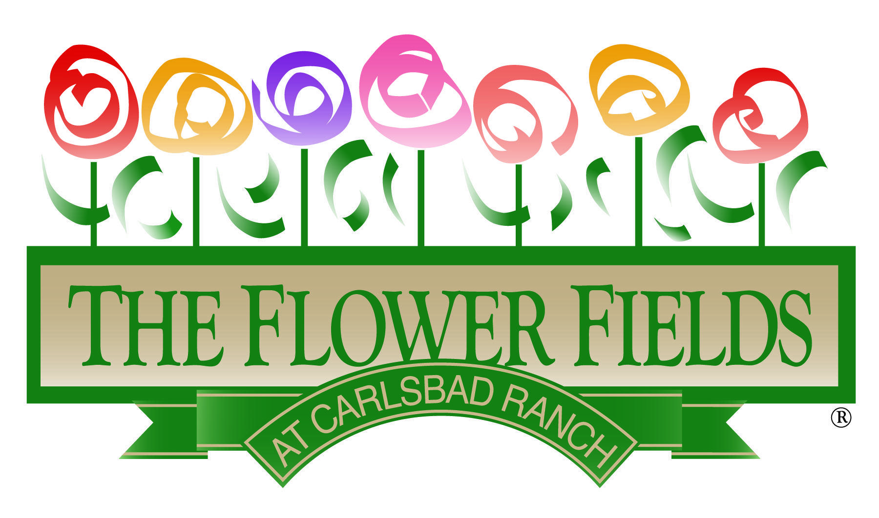 Carlsbad Logo - FF logo 8-1-13 | Carlsbad Chamber of Commerce