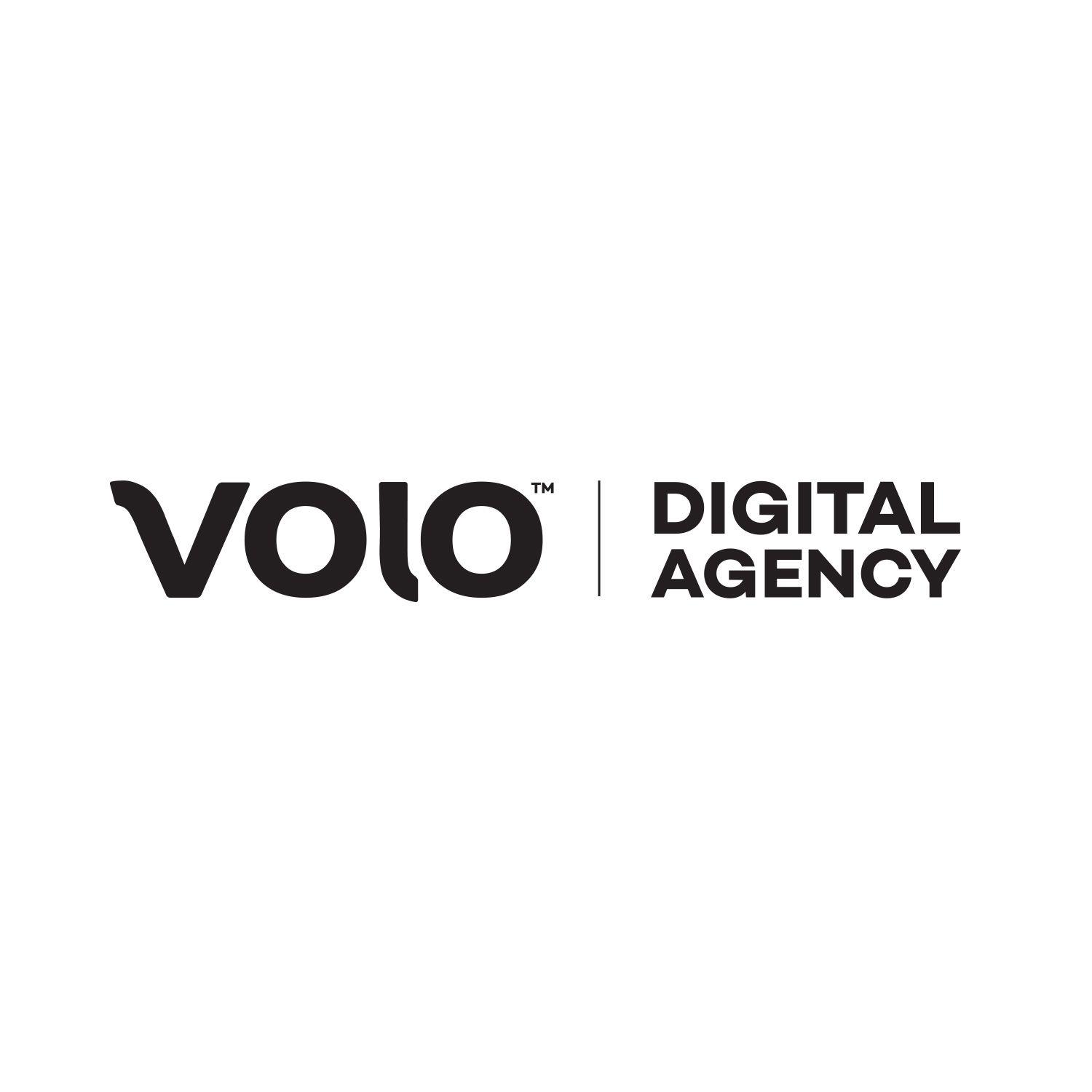 Agency Logo - Branding Breakdown. VOLO Digital Agency