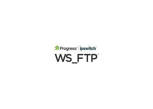 CDWG Logo - WS_FTP Professional (v. 12.4) - license + 1 Year Service Agreement - 1 user