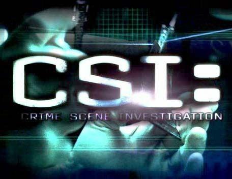 C.S.i Logo - CSI logo - All CSI's Photo (3227233) - Fanpop