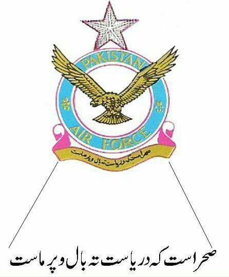PAF Logo - PAF #emblem | The Mighty Pakistan Military | Cavaliers logo, Logos ...