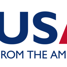 USAID Logo - Accountability Lab