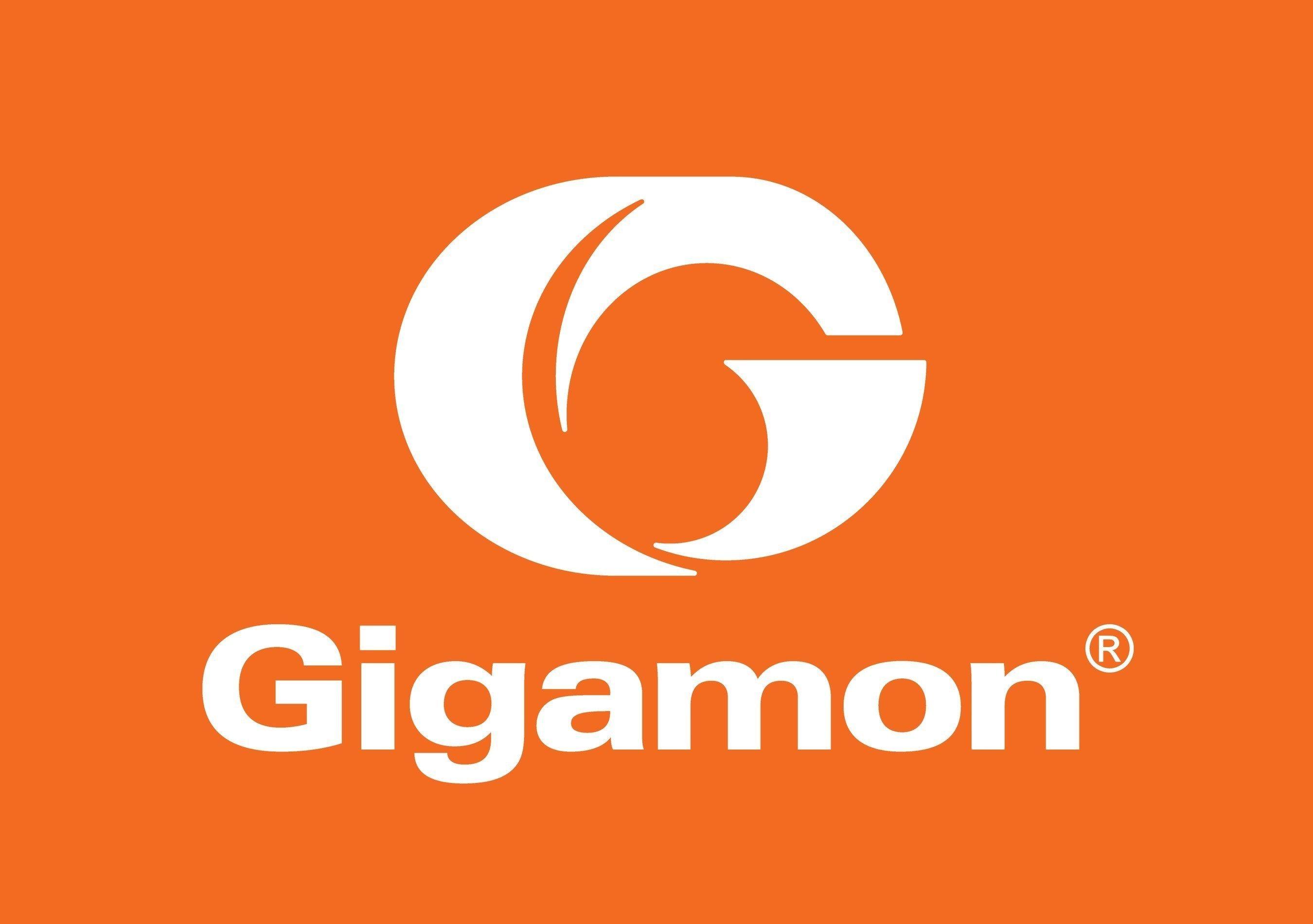 Gigamon Logo - Media Alert: Gigamon and Western Union to Highlight Power of Network ...