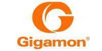 Gigamon Logo - Gigamon | Fidelis Cybersecurity