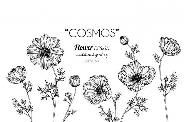 Black and White Flower Logo - Flower Sketch Vectors, Photo and PSD files