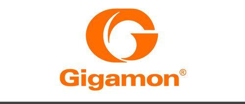 Gigamon Logo - Computing