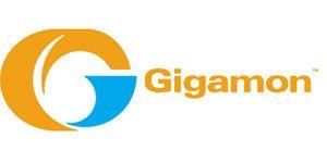 Gigamon Logo - Gigamon teams with RSA - Chief IT - For IT Leaders & Decision Makers