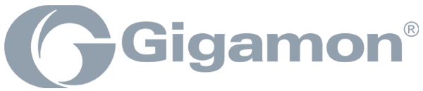 Gigamon Logo - Gigamon - AccessIT Group