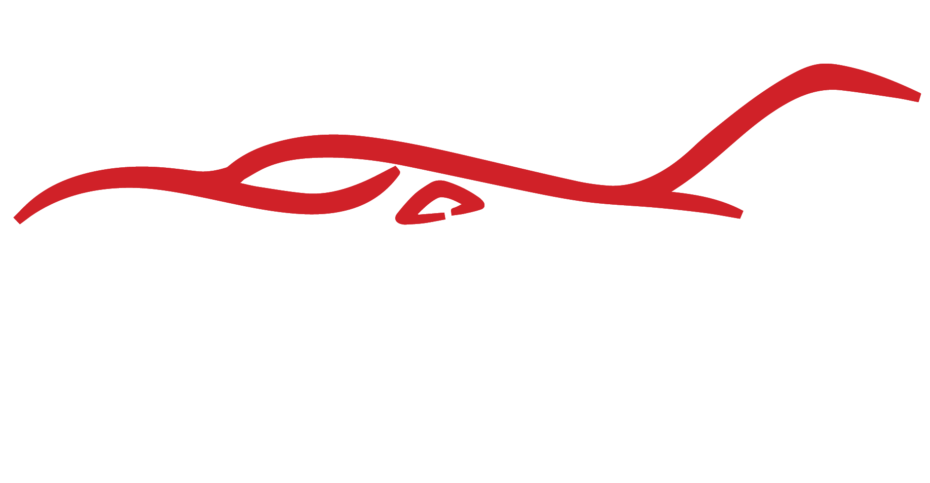 Flight Logo - Thrust Flight. Flight Training. Texas' Premier Flight School