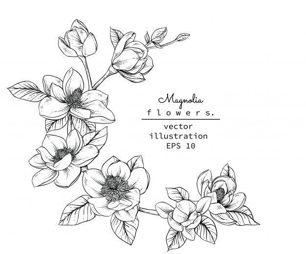 Black and White Flower Logo - Flower Sketch Vectors, Photo and PSD files