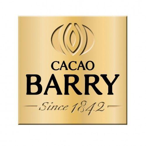 Barry Logo - Food Bloggers of Canada Cacao Barry logo