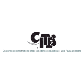 Cites Logo - CITES – Convention on International Trade in Endangered Species of ...
