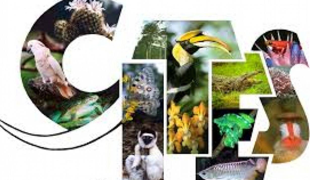 Cites Logo - Competition for CITES logo