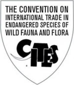 Cites Logo - South Africa signs CITES treaty on international trade in endangered ...