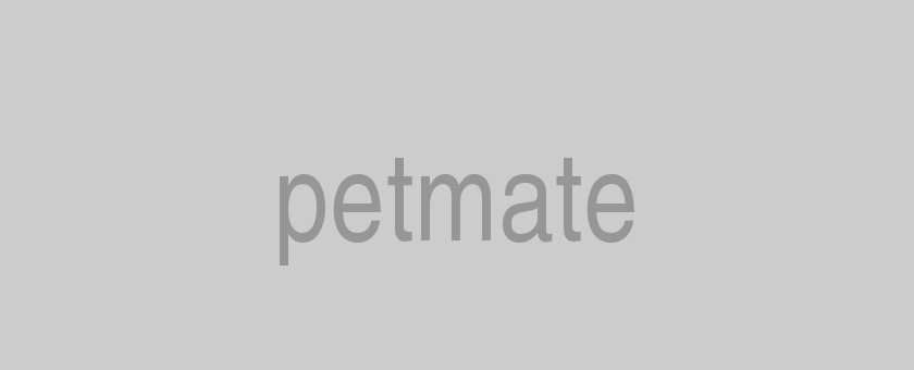 Petmate Logo - LogoDix