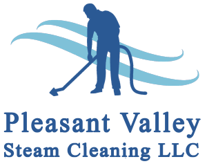 Cleaners Logo - Berryville Carpet Cleaning Company | Carpet Cleaners Berryville, VA