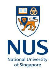 NUS Logo - NUS University of Singapore Identity