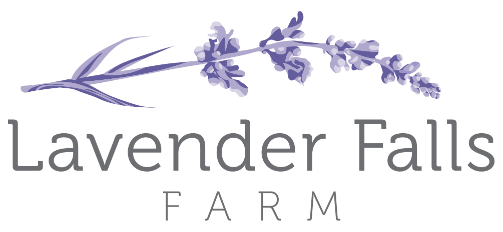 Lavender Logo - Retail & Business Friends — Lavender Falls Farm