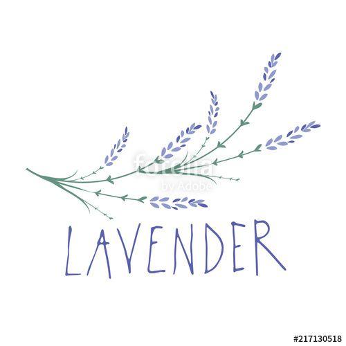 Lavender Logo - Lavender flower. Logo design. Text hand drawn.