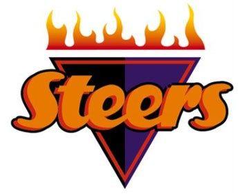 Steers Logo - Steers logo