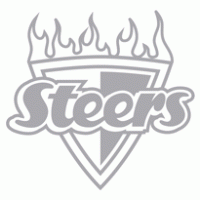 Steers Logo - steers | Brands of the World™ | Download vector logos and logotypes
