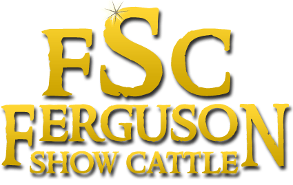 Steers Logo - fsc-logo - Steer Planet - Show Steers & Cattle Forum, Classifieds
