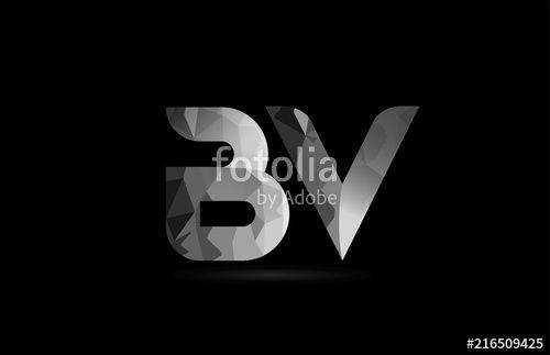 BV Logo - black and white alphabet letter bv b v logo combination
