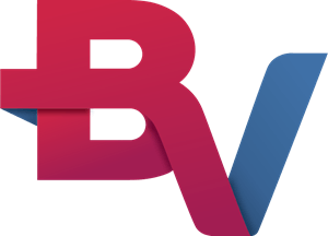 BV Logo - BV Financeira Logo Vector (.PDF) Free Download
