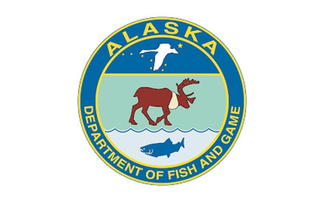 Alaskan Logo - Hunters killed a mother bear and two 'shrieking' newborn cubs in ...