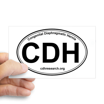 CDH Logo - CDH Awareness Logo Rectangle Decal > CDH Logo Items > Congenital ...