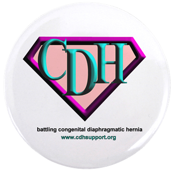 CDH Logo - CDH Superhero Logo for Girls 3.5