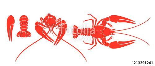 Crayfish Logo - Crayfish logo. Isolated crayfish on white background