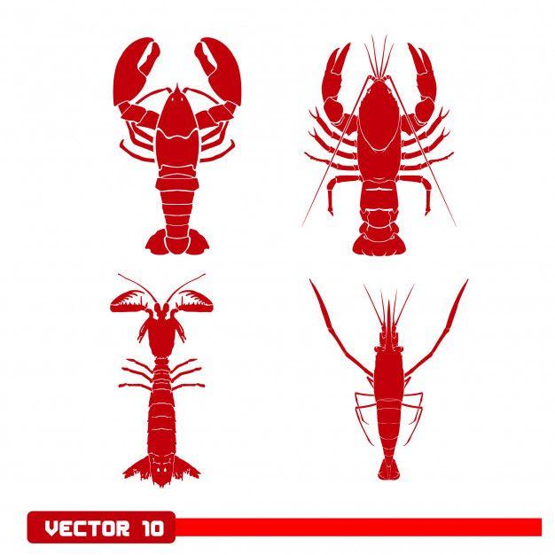 Crayfish Logo - Red crayfish logo set vector illustration isolated Vector. Premium