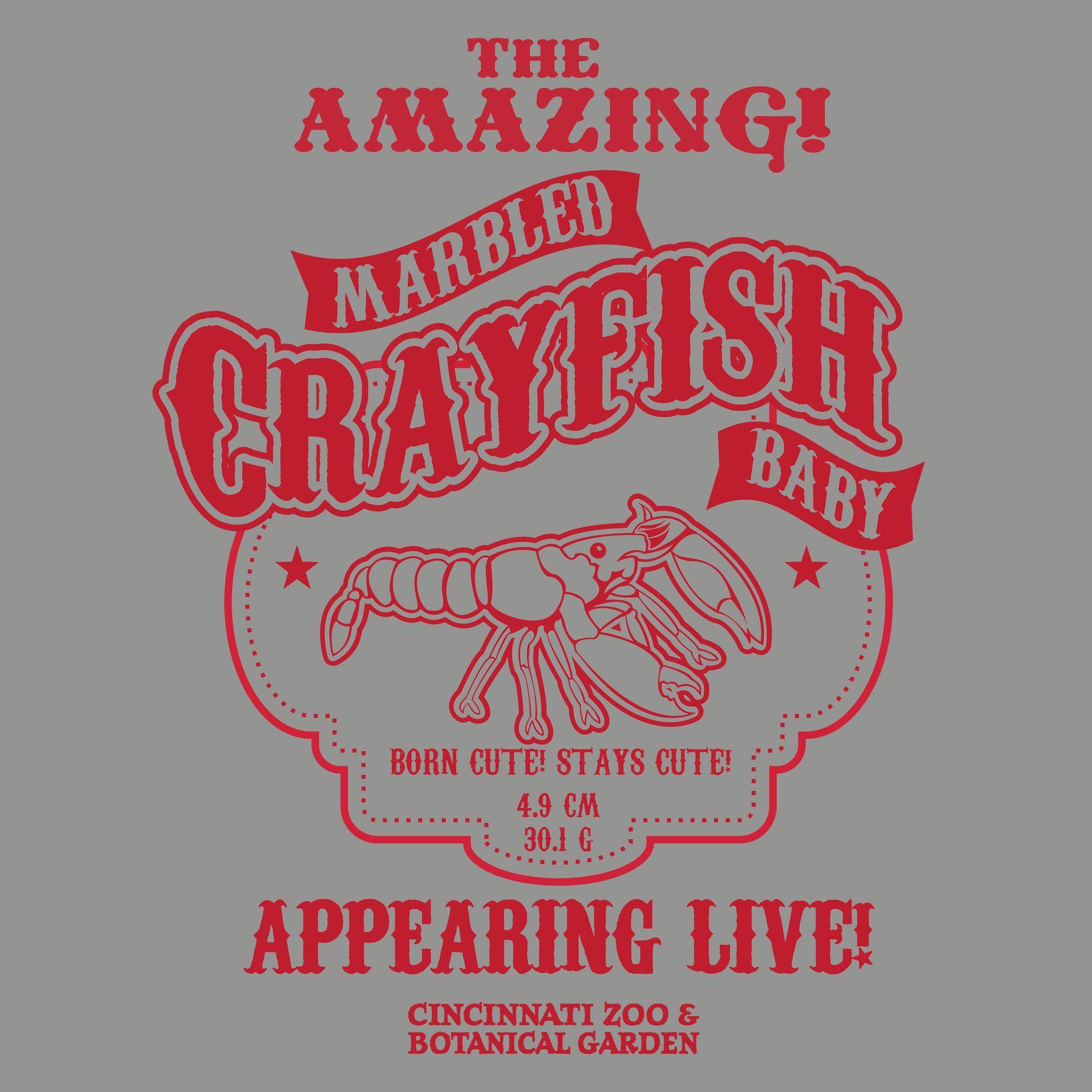 Crayfish Logo - The Amazing Marbled Crayfish