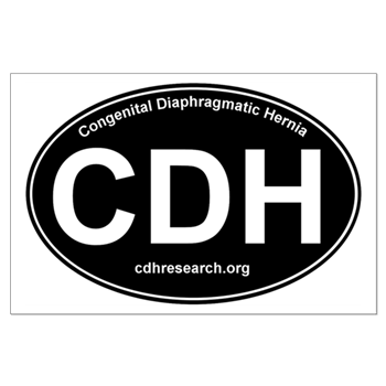 CDH Logo - CDH Awareness Posters > CDH Logo Items > Congenital Diaphragmatic ...