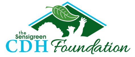 CDH Logo - Our Story | Sensigreen CDH Foundation | Sensigreen Mechanical