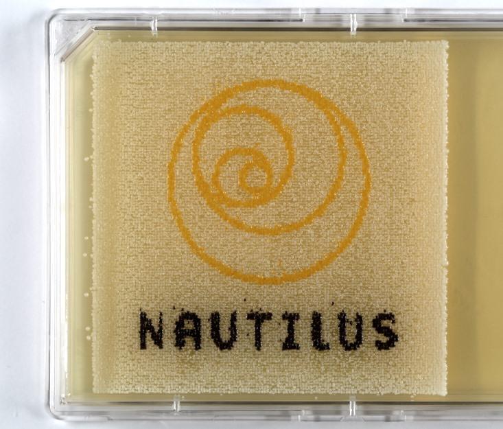 Pointillism Logo - How Can Microscopic Yeast Draw the Nautilus Logo? The New Art of Bio ...