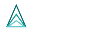 Npm Logo - National Projects & Maintenance | NPM-logo