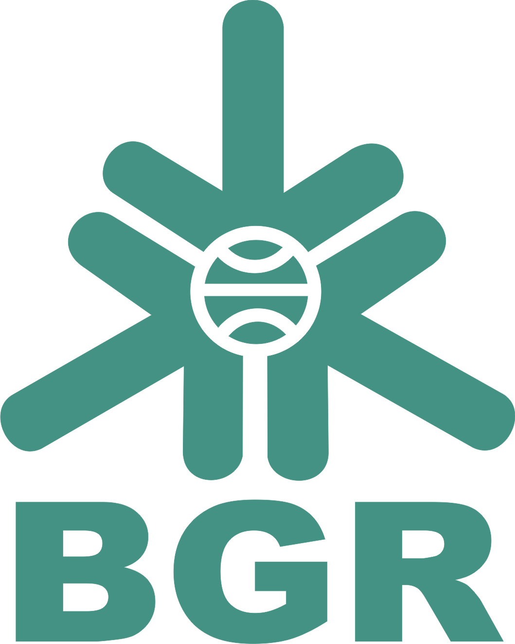 BGR Logo - Logo PT. Bhanda Ghara Reksa ( Persero ) Lambang Indonesia