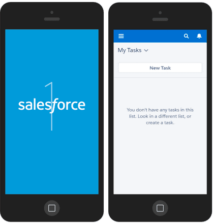 Salesforce1 Logo - Brand Your Salesforce1 App! - Ledgeview Partners