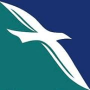 SilkAir Logo - SilkAir Interview Questions