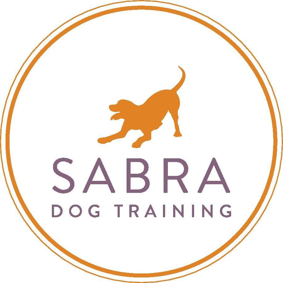 Cpdt Logo - Certified Dog Trainer Profile: Ayelet B. Berger, Nashville, TN