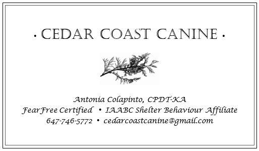 Cpdt Logo - Certified Dog Trainer Profile: Antonia Lee Colapinto, Toronto, ON