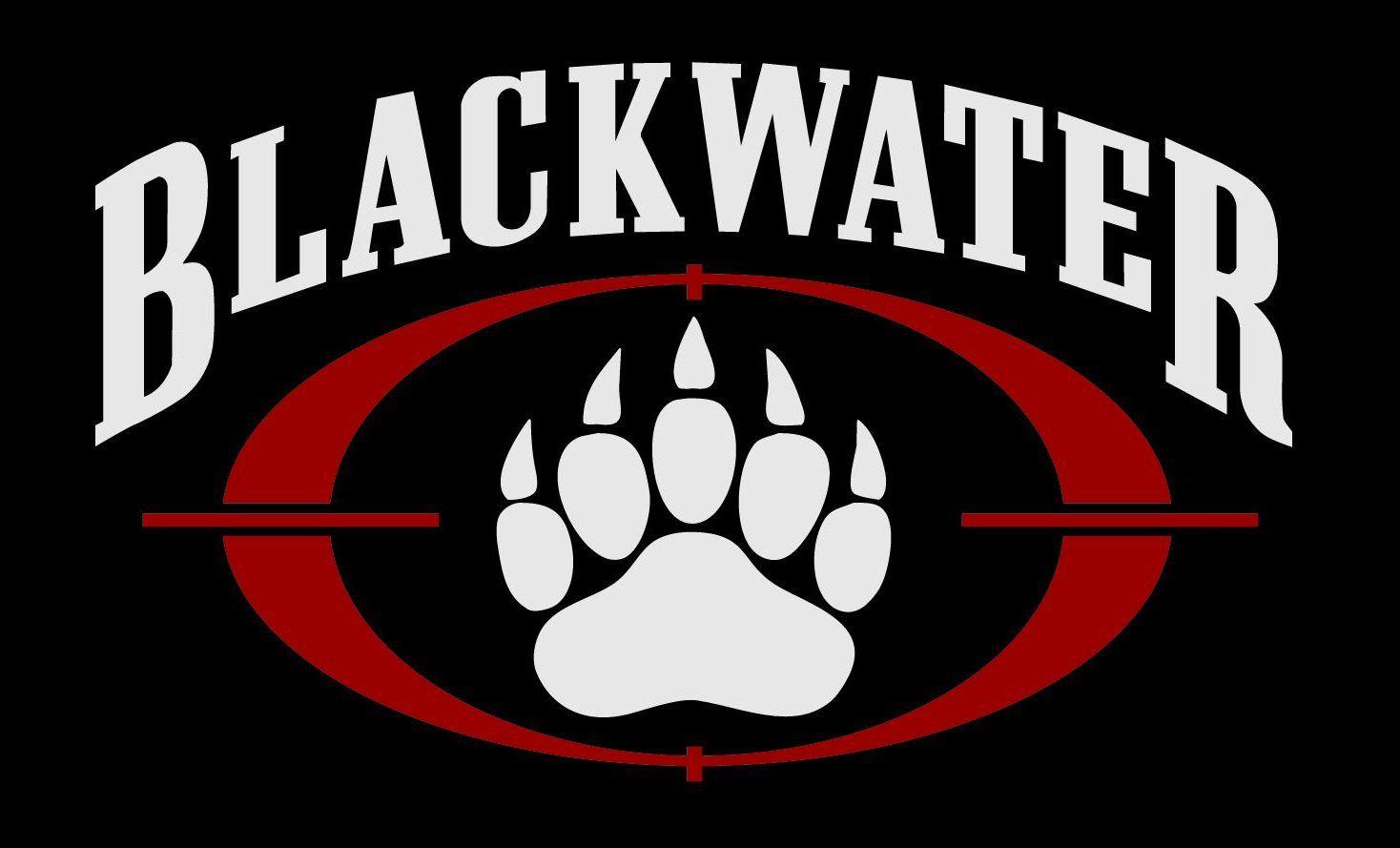 Blackwater Logo - From Murder Conviction to Mistrial in Case of Blackwater Guard's