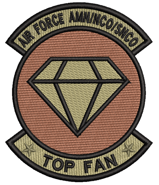 SNCO Logo - AIR FORCE AMN/NCO/SNCO TOP FAN- Patch