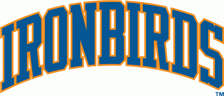 IronBirds Logo - Aberdeen IronBirds Wordmark Logo - New York-Penn League (NYPL ...