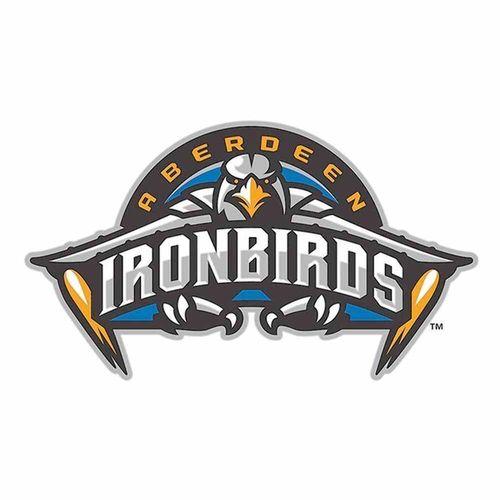 IronBirds Logo - MLB Auction