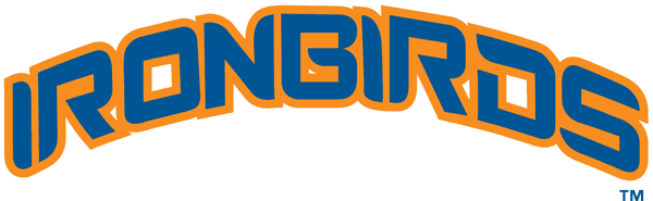 IronBirds Logo - Aberdeen IronBirds Wordmark Logo - New York-Penn League (NYPL ...