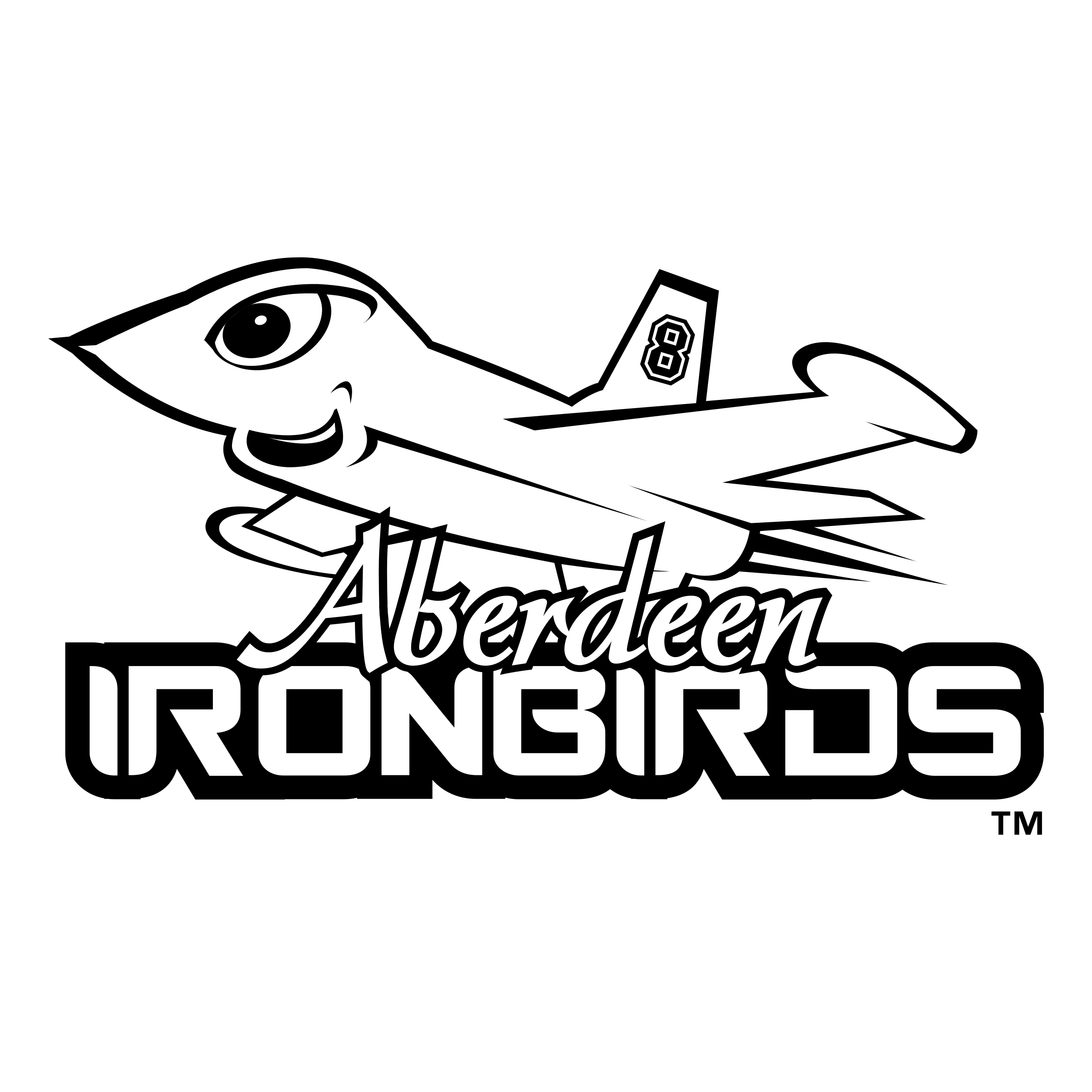Aberdeen IronBirds Home Uniform - New York-Penn League (NYPL) - Chris  Creamer's Sports Logos Page 