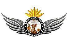 SSF Logo - Special Security Force
